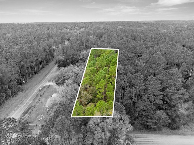 000 SW 202nd Ct, Dunnellon FL, 34431 land for sale