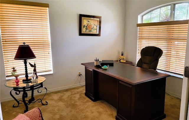 office space with light carpet and baseboards