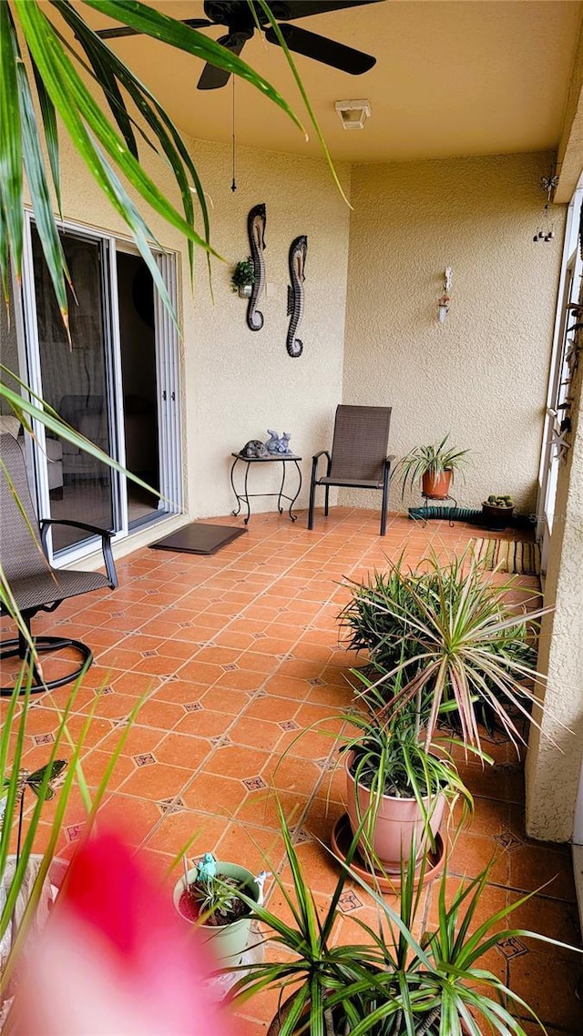 view of patio / terrace with ceiling fan