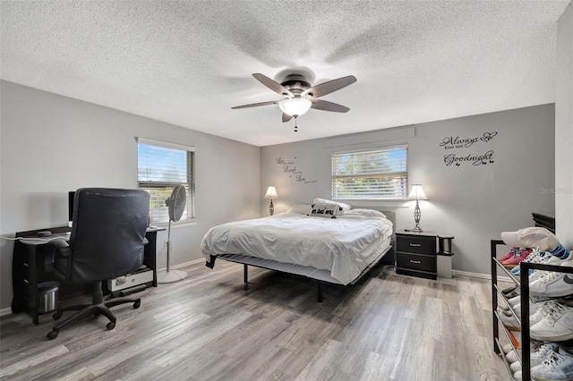 4716 Gazania St, New Port Richey, FL 34652 - bedroom with light wood-type flooring, multiple windows, and baseboards