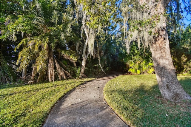 view of home's community featuring a lawn