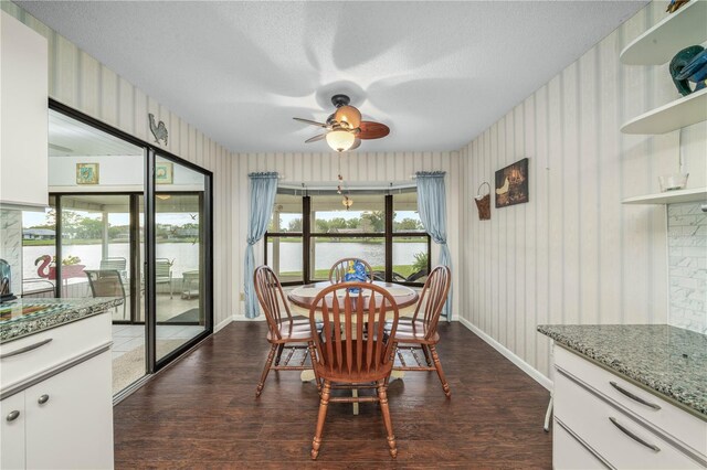 dining space with a ceiling fan, a wealth of natural light, and dark wood-style flooring