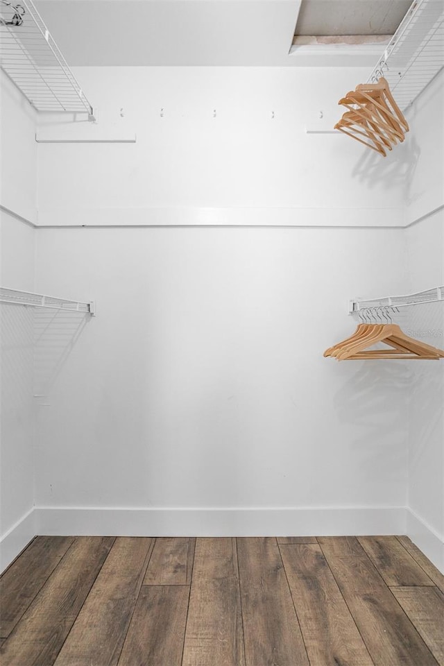 walk in closet featuring wood-type flooring