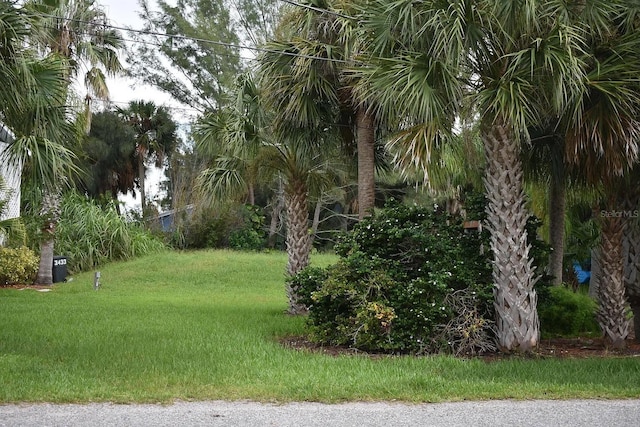 Listing photo 2 for Sandcastle Ln, Weeki Wachee FL 34607