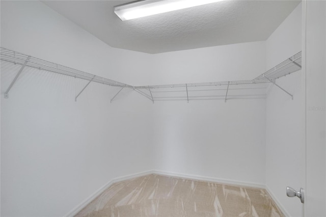 spacious closet featuring light colored carpet