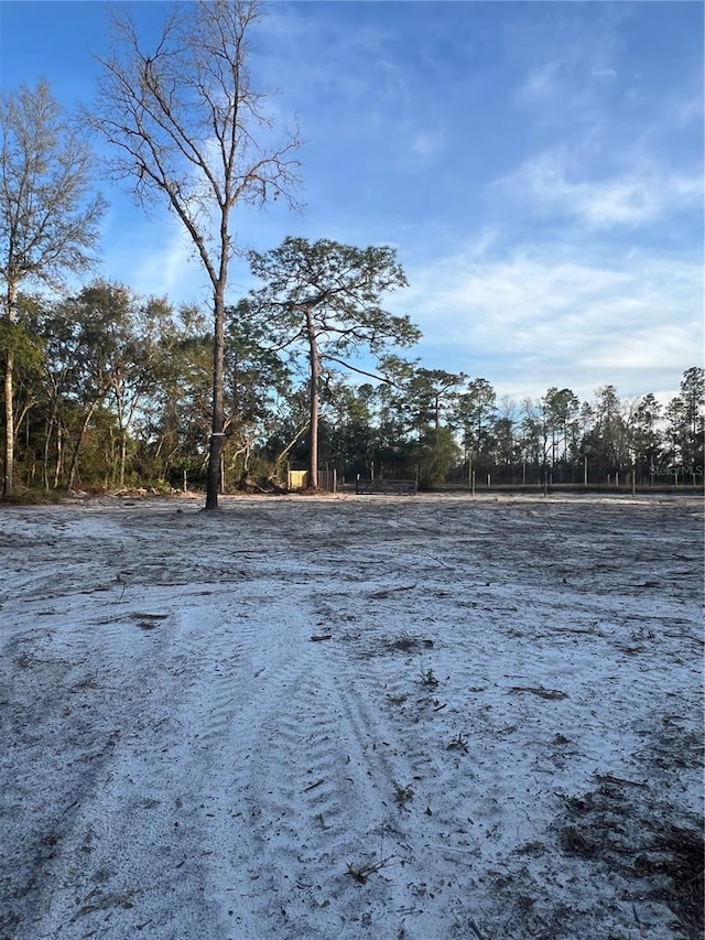 0000 SW 160th St, Dunnellon FL, 34432 land for sale