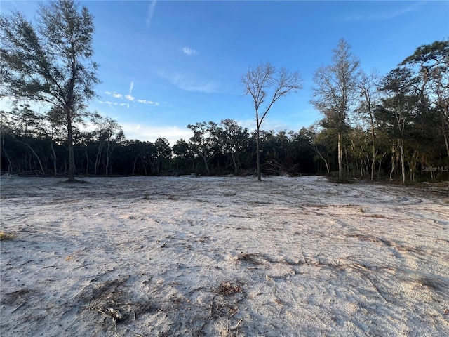 Listing photo 3 for 0000 SW 160th St, Dunnellon FL 34432