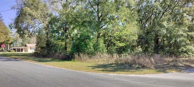 Listing photo 3 for 517 S Savary Ave, Inverness FL 34453