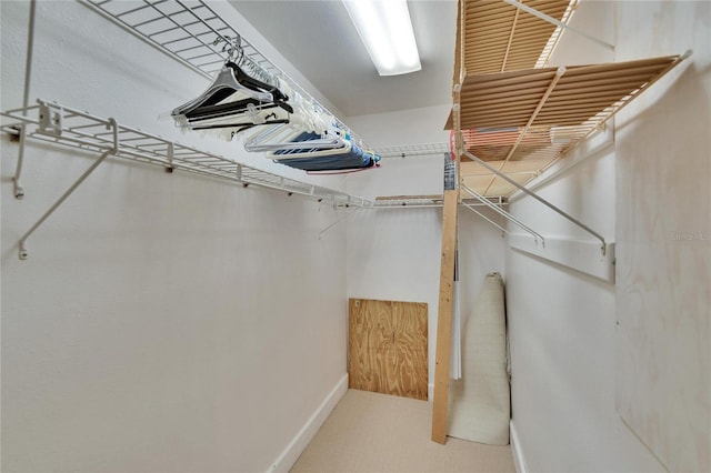 walk in closet featuring carpet flooring