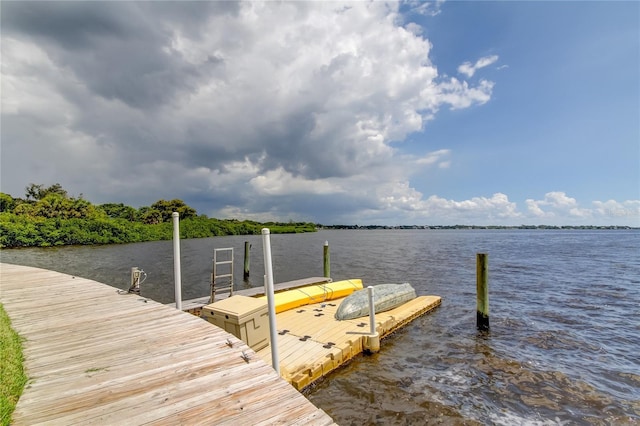 dock area with a water view