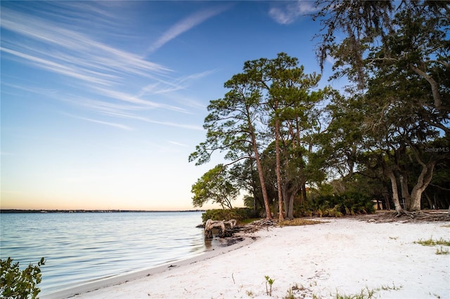 152 Brent Cir, Oldsmar, FL 34677 - water view