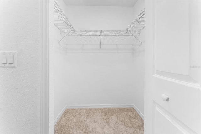 spacious closet featuring carpet floors