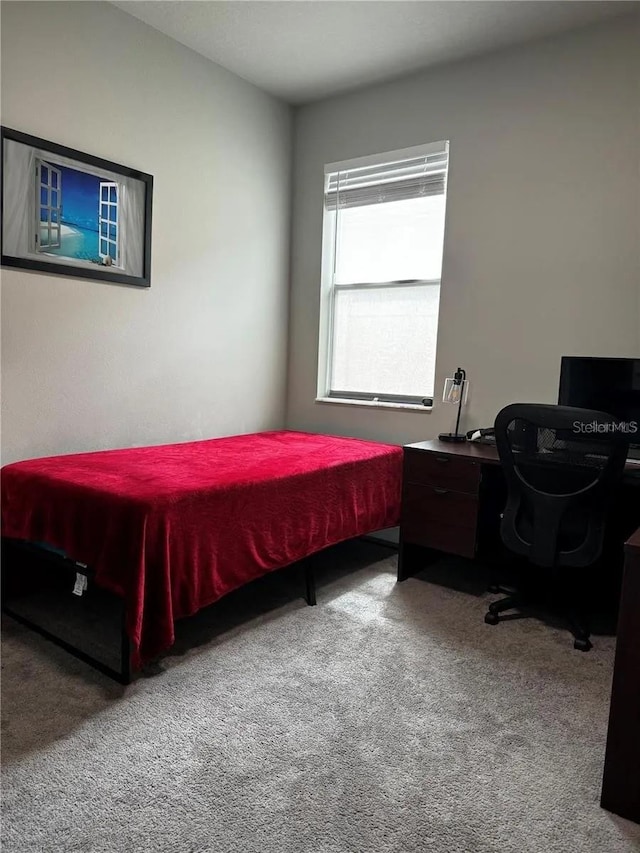 view of carpeted bedroom