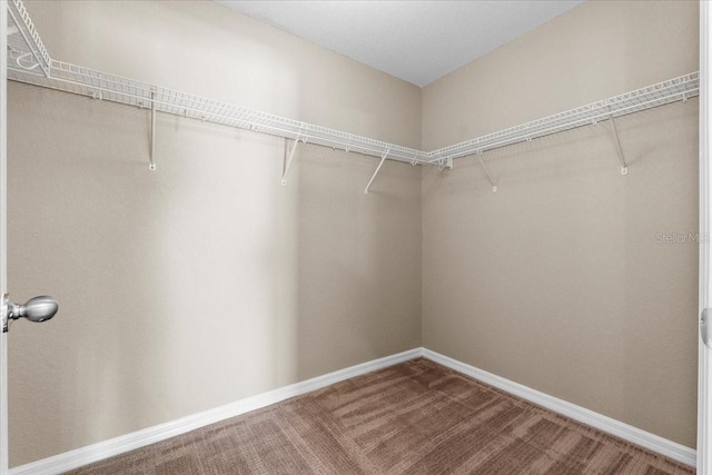 spacious closet with carpet floors