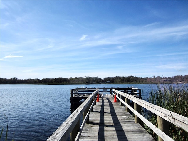 dock area with a water view