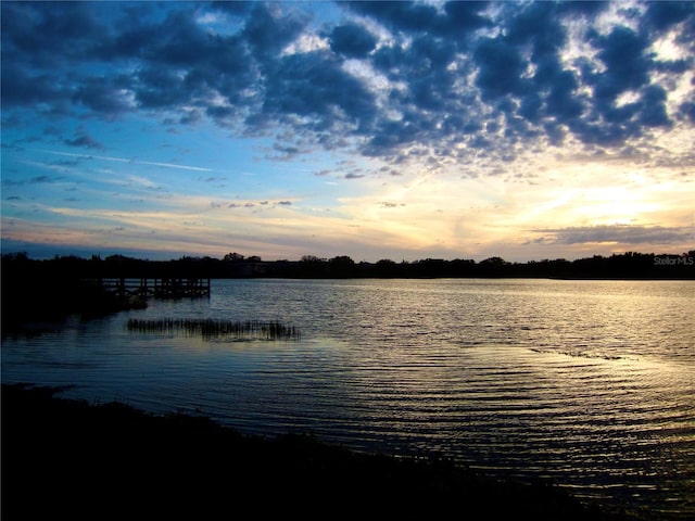 property view of water