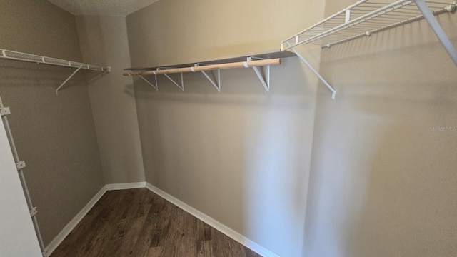 walk in closet featuring dark wood-style flooring