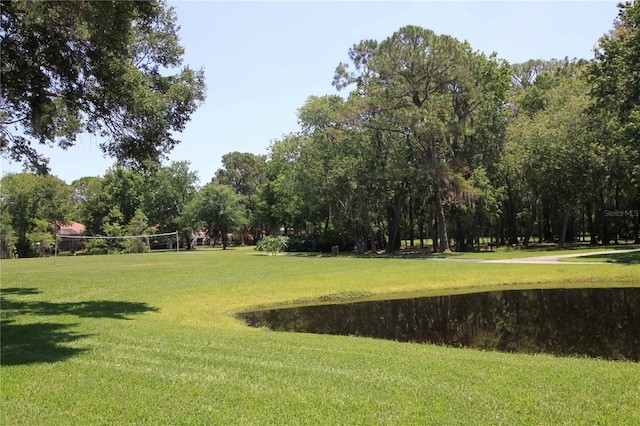 view of property's community featuring a water view and a lawn