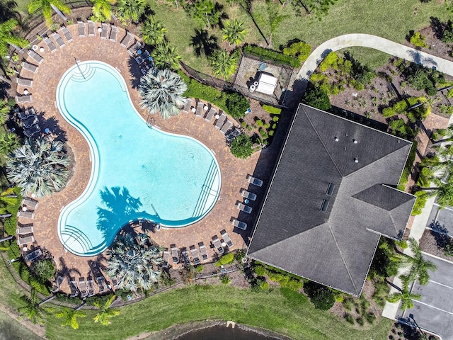 bird's eye view