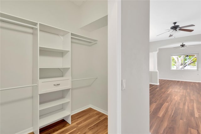 walk in closet featuring a ceiling fan and wood finished floors