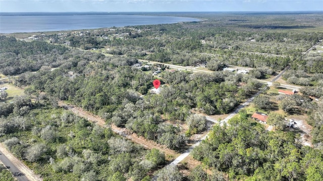 4310 Indian Lake Dr, Indian Lake Estates, FL 33855 - drone / aerial view with a water view and a view of trees