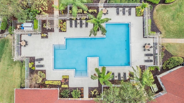 9481 Highland Oak Dr Unit 706, Tampa, FL 33647 - drone / aerial view of a pool