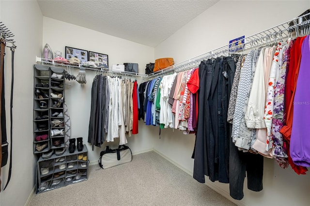 spacious closet featuring carpet floors