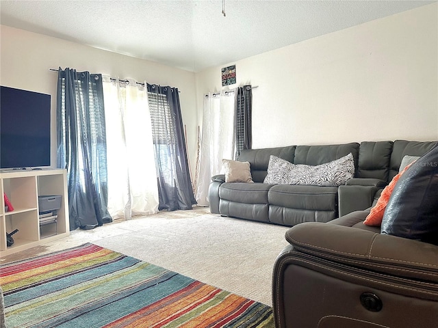 carpeted living area featuring a textured ceiling