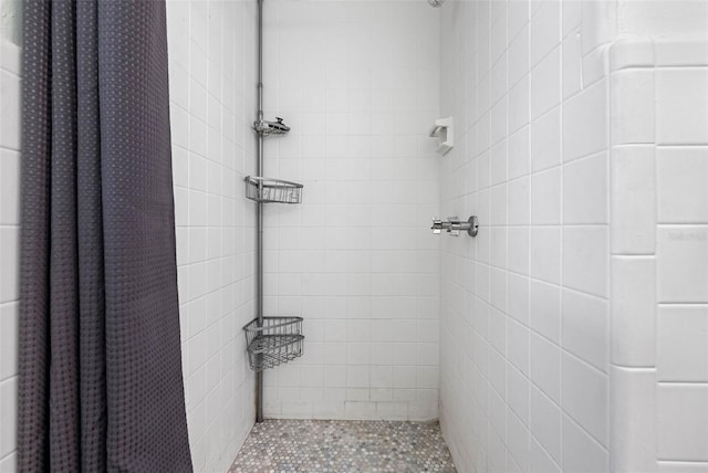 full bathroom featuring a shower stall