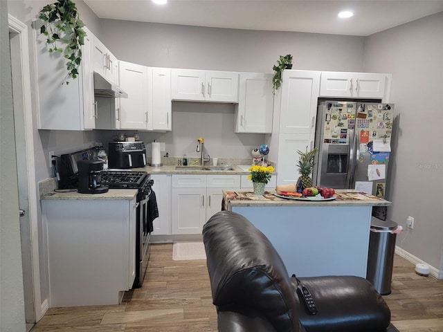 kitchen featuring light wood-type flooring, under cabinet range hood, stainless steel appliances, and a sink