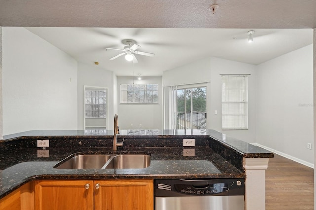 kitchen with wood finished floors, stainless steel dishwasher, dark stone countertops, and a sink