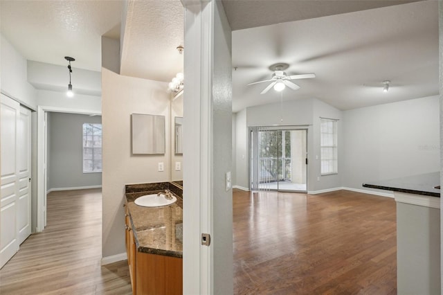 interior space with vaulted ceiling, wood finished floors, a sink, and a healthy amount of sunlight