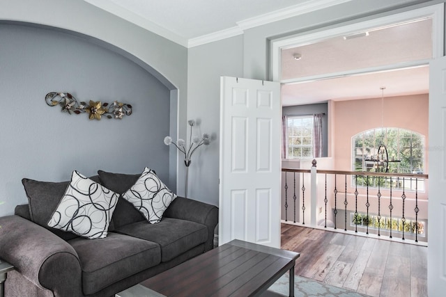 living area featuring wood finished floors and crown molding