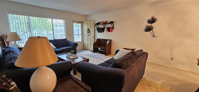 carpeted living room with a textured ceiling