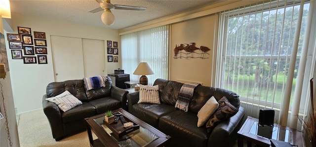 living area with a ceiling fan, carpet, and a textured ceiling