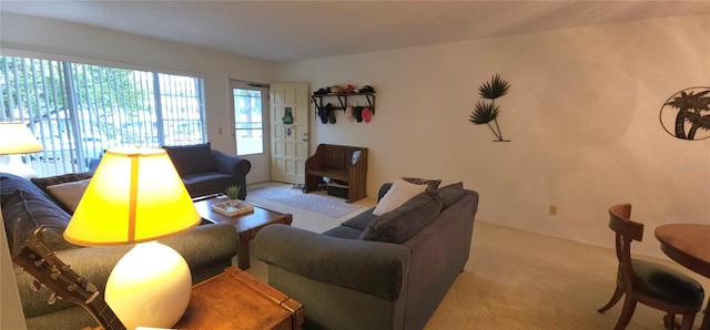 view of carpeted living area