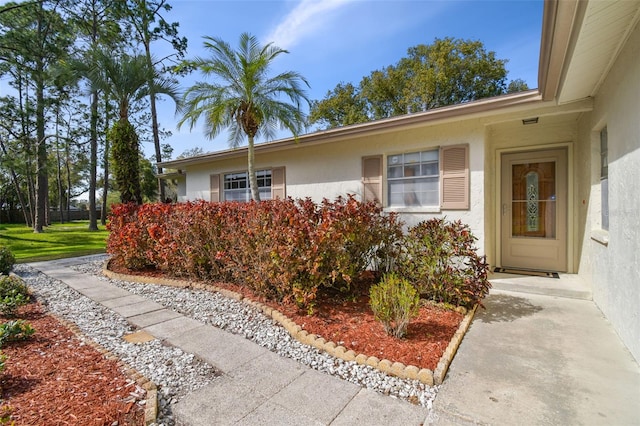 doorway to property featuring stucco siding