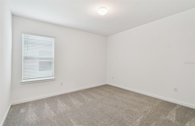 10410 Cross River Trl, Parrish, FL 34219 - carpeted spare room with baseboards