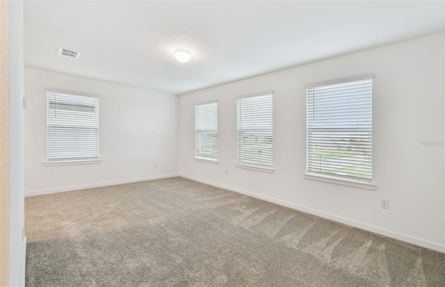 10410 Cross River Trl, Parrish, FL 34219 - empty room with carpet floors and plenty of natural light