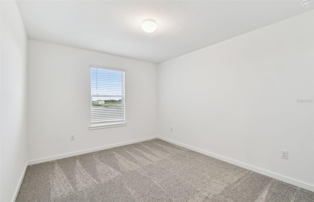 10410 Cross River Trl, Parrish, FL 34219 - carpeted spare room with baseboards and a textured ceiling