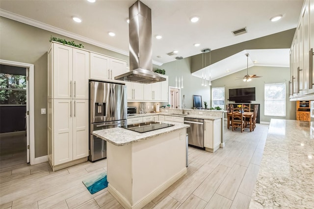 kitchen featuring stainless steel appliances, wood finish floors, island exhaust hood, and a peninsula