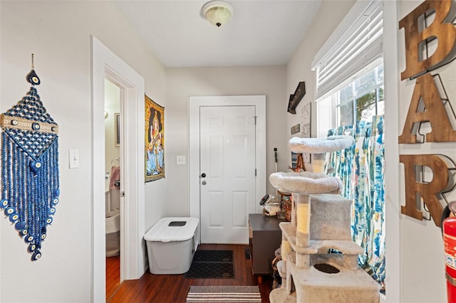 foyer featuring wood finished floors