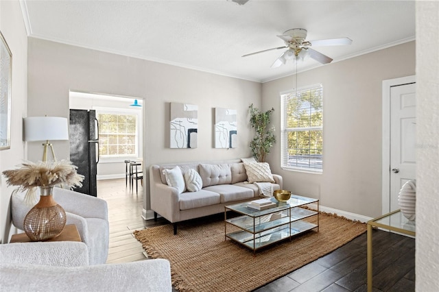 living area with hardwood / wood-style flooring, baseboards, and ornamental molding