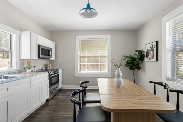 kitchen featuring appliances with stainless steel finishes, dark wood-style flooring, and a wealth of natural light