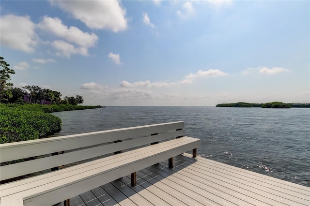 dock area with a water view