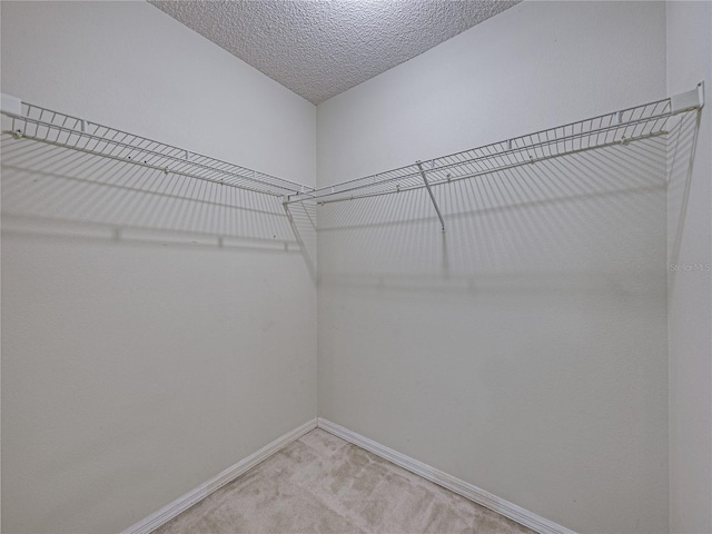 spacious closet featuring light colored carpet