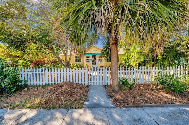 obstructed view of property with a fenced front yard