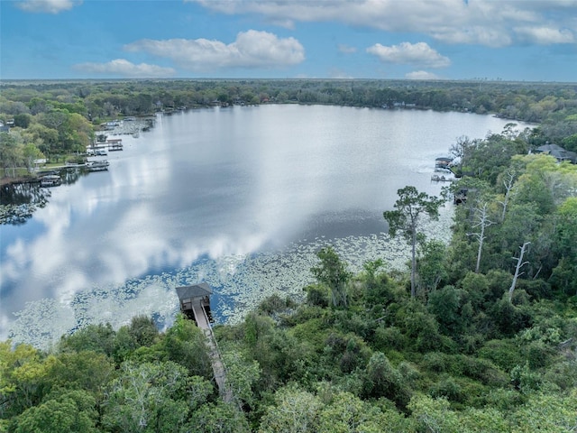 birds eye view of property featuring a water view and a forest view