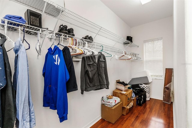 spacious closet featuring dark wood-style floors