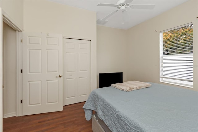 bedroom with ceiling fan, a closet, and dark wood-style flooring